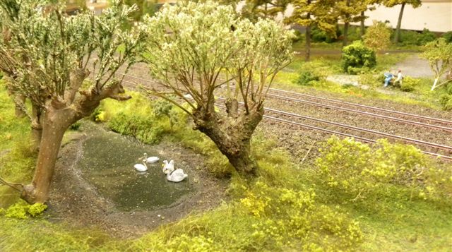 De Kempen zwanenmeer De Kempen zwanenmeer