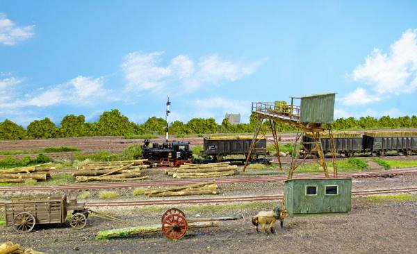 De houtoverlag met op de voorgrond een mallejan.. De houtoverlag met op de voorgrond een mallejan..