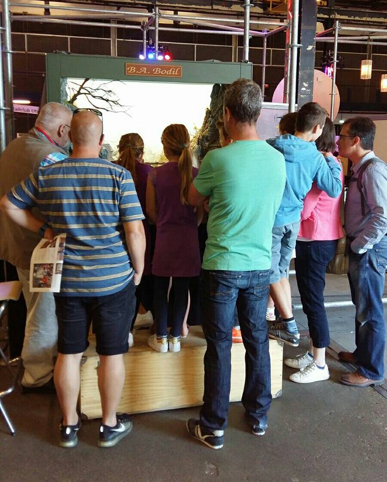 EMMF_B.A.Bodil EMMF_B.A.Bodil