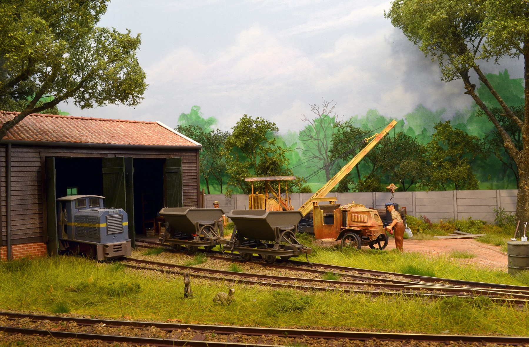 doarginder2 doarginder2